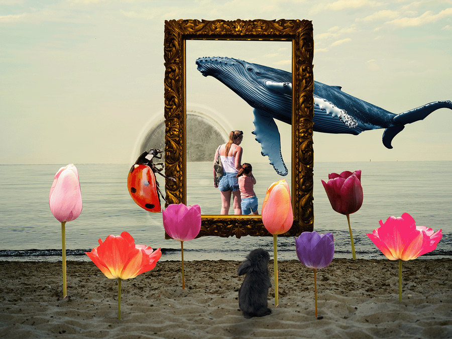 Collage