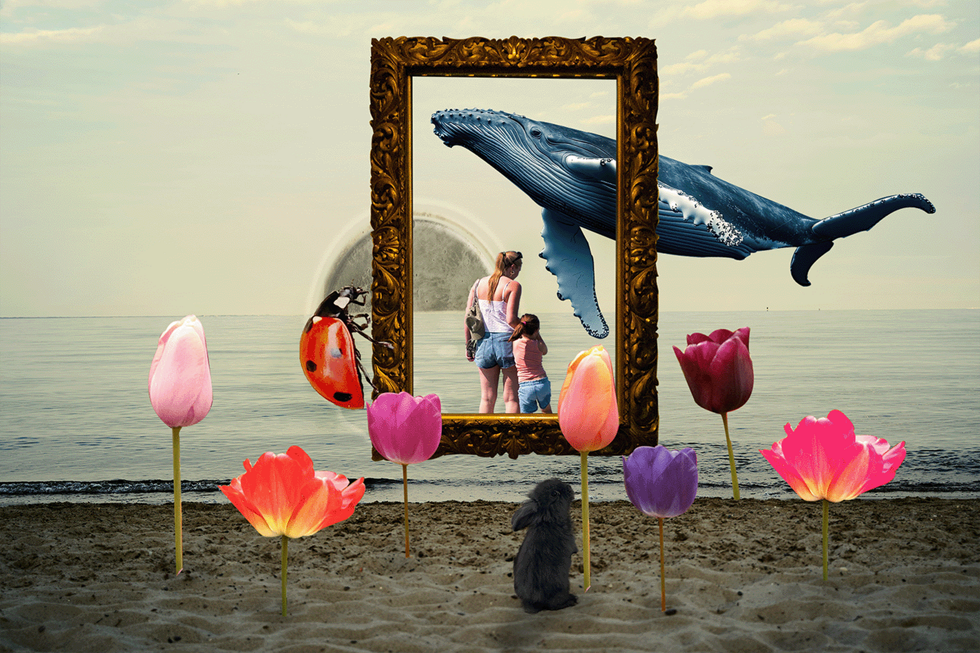 Collage
